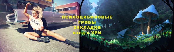 тгк Осинники