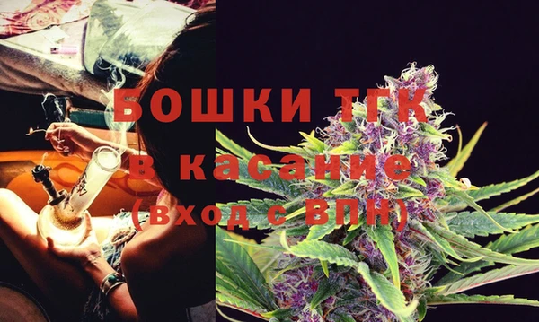 шишки Пестово