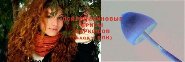 тгк Осинники