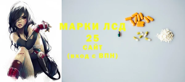 шишки Пестово