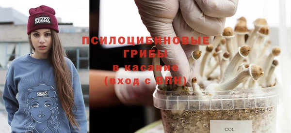 тгк Осташков
