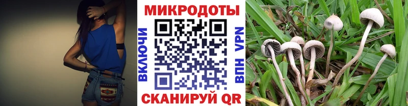 Галлюциногенные грибы прущие грибы  Купить закладки  Цимлянск 