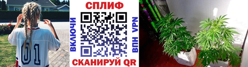 Бошки Шишки SATIVA & INDICA  Купить  Цимлянск 